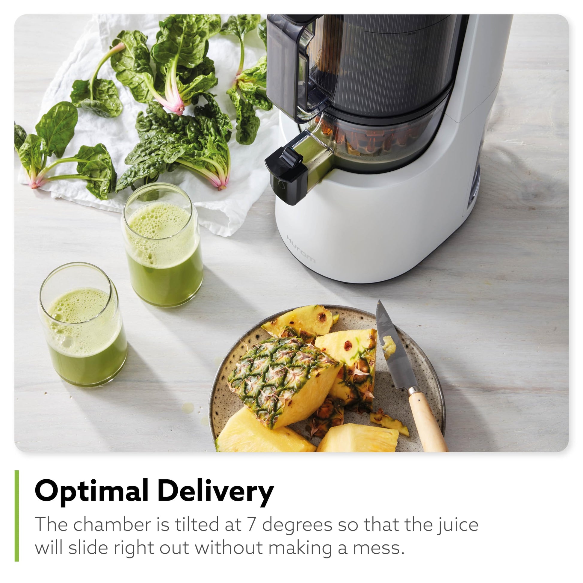 Hurom E50ST Cold Press Juicer for Home, Advanced Cold Press Technology for 20% More Juice, All-in-1 Juicer for Fruits, Vegetables, Nut Milk, World's No. 1 Slow Juicer Brand since 1974 (Mushroom White)