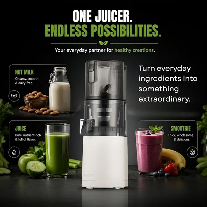 Hurom E30ST Cold Press Juicer for Home